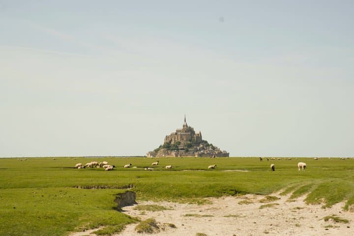 Private Normandy Highlights Tour Rouen Etretat and Honfleur