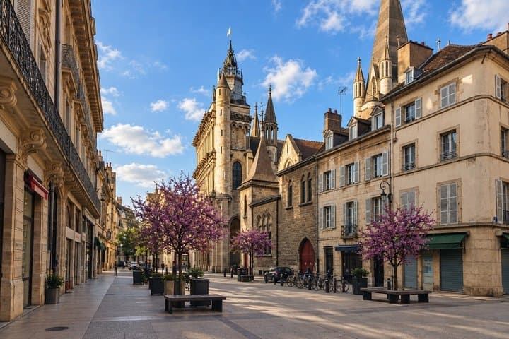 Self Guided Podcast Tour Dijon The Shadow Kingdom