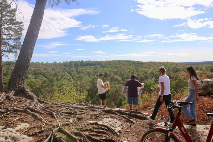 Discover Fontainebleau by Electric Bike - Seine Forest and Villages