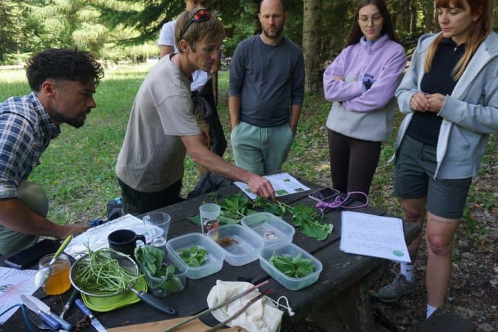Discovery of edible wild plants