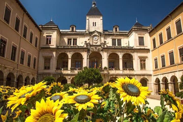 Excursion from Lyon to Vienne