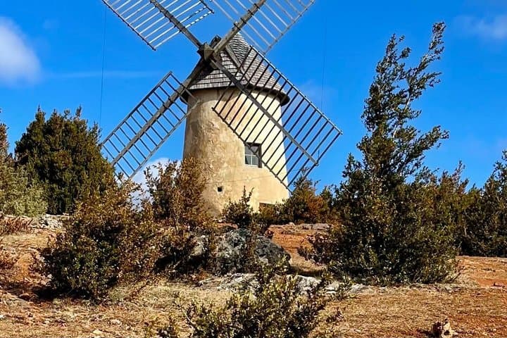 Roquefort and Templar village excursion Check-out Montpellier
