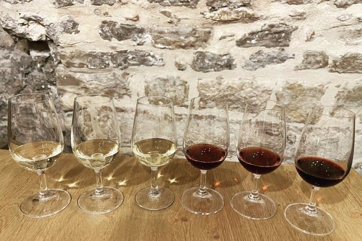 Burgundy Wine Tasting in Dijon – 5 Wines & French Bites