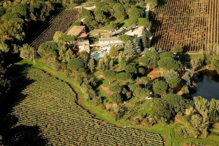 The Whispering Angel Wine Tour