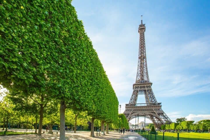 3 in 1 Paris Experience Eiffel Tower Seine Cruise and Notre Dame
