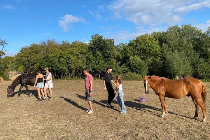 Equine coaching in Normandy Whispering in the ears of horses