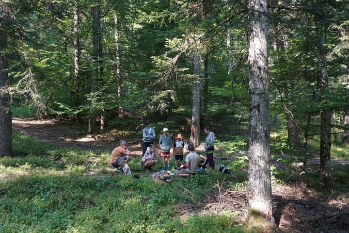 Naturalist Adventure with Forest Bivouac