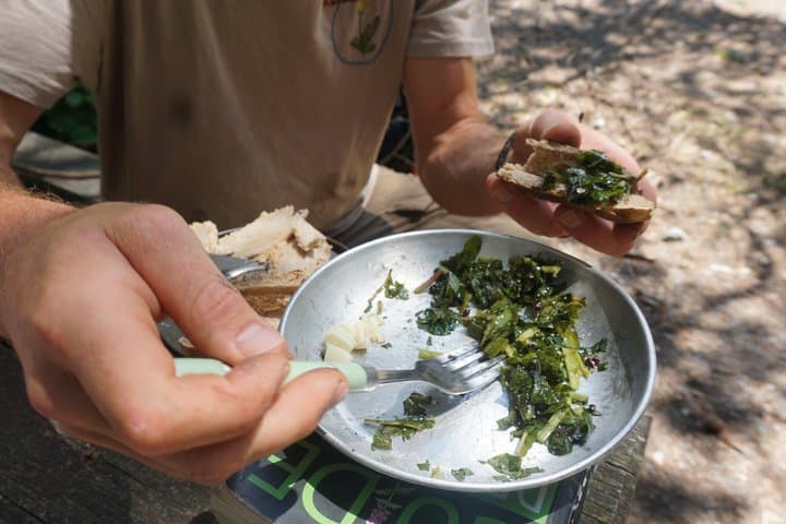 Naturalist Adventure with Forest Bivouac