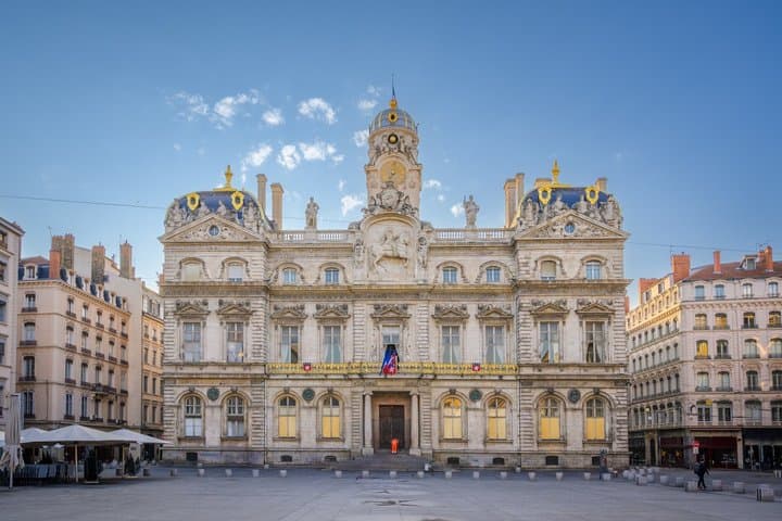 Lyon Old Town with Museum of Fine Arts Private Walking Tour