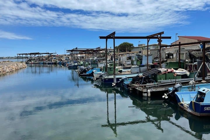 Visit to Sète and its different neighborhoods Check-out Montpellier
