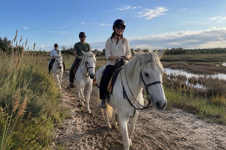 Camargue Horseback Riding Adventure in the Natural Reserve