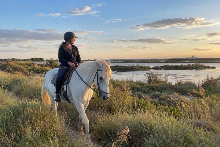 Camargue Horseback Riding Adventure in the Natural Reserve