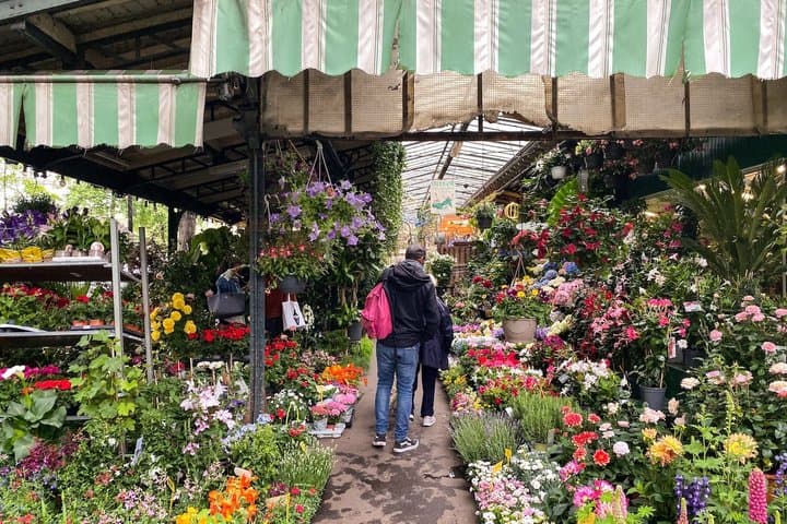 Experience Paris Highlights Private Walking Tour