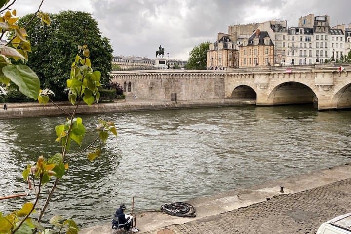 The Cradle of Paris Explore the Secrets of Île de la Cité